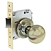 Tesa Assa Abloy Pomo para puerta 392050LP