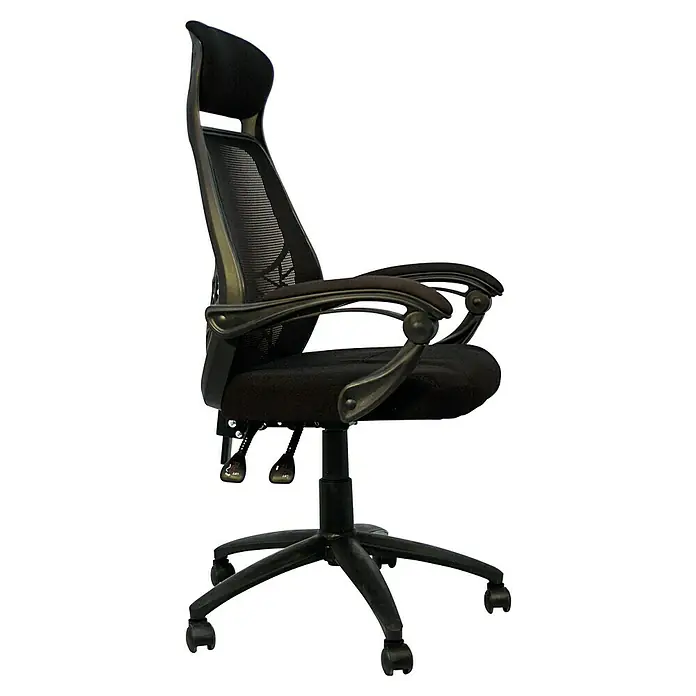 Silla de oficina Erika - Negro, Reposabrazos - Silla de oficina ergonómica negra con respaldo de malla, reposabrazos ajustables y base rodante para una comodidad óptima.