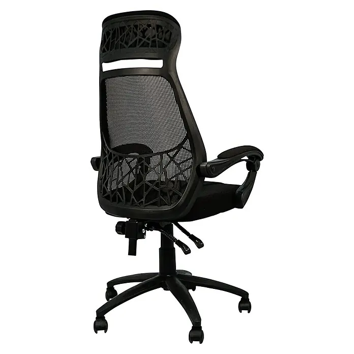 Silla de oficina Erika - Negro, Reposabrazos - Silla de oficina negra con respaldo de malla y reposabrazos ajustables, que proporciona confort ergonómico en la oficina.