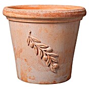 Deroma Olive Pflanztopf Cilindro (Terracotta, Ø x H: 43 x 36 cm, Blätterranke)