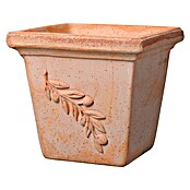 Deroma Olive Pflanztopf Quadro (Terracotta, 18 x 18 x 15 cm, Blätterranke)