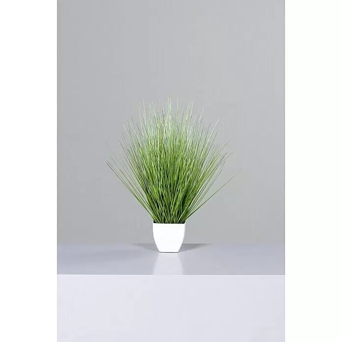 Kunstpflanze California-Beach-Gras - Höhe: 60 cm, Kunststoff - Stimmungsaufnahme