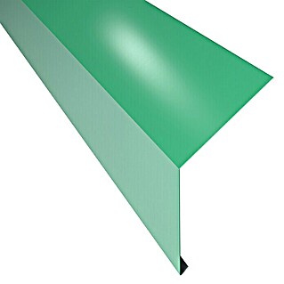 Schürze für Dachrinne PP12 (Grün, Länge: 100 cm, Stahl)