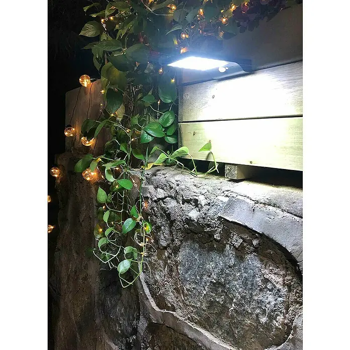 LED-Solar-AußenwandleuchteBewegungsmelder, 3 W, 300 lm, Kaltweiß, Schwarz - Das Bild zeigt eine Solarleuchte, die an einer Wand mit Pflanzen und dekorativen Glühbirnen befestigt ist. Die Lampe strahlt helles Licht aus.