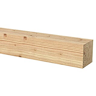 Tuinpaal Douglas (300 x 10 x 10 cm)