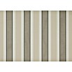 Solid Elements Vollkassettenmarkise Solid-X-Compact 8935 (Cappuccino, Farbe Gestell: Reinweiß, Breite: 2,5 m, Ausfall: 2 m) | BAUHAUS