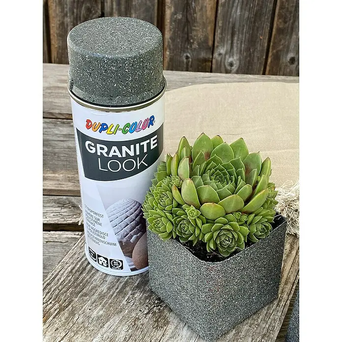 Dupli-Color Effect Sprühlack Granite Look - Grau, Matt, 400 ml - Nahaufnahme einer Dose Dupli-Color Granit-Effekt-Sprayfarbe neben einer Sukkulente in einem mit Granit-Effekt besprühten Topf.