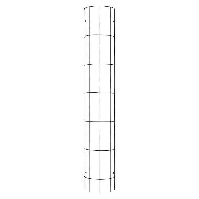 Gardol Halbrundspalier Apulien29 x 180 cm Front View