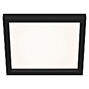 Briloner LED-Panel (18 W, L x B x H: 29,5 x 29,5 x 8 cm, Schwarz, Warmweiß) | BAUHAUS