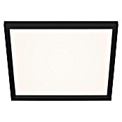 Briloner LED-Panel (24 W, L x B x H: 44,5 x 44,5 x 8 cm, Schwarz, Warmweiß) | BAUHAUS