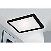 Briloner LED-Panel (24 W, L x B x H: 44,5 x 44,5 x 8 cm, Schwarz, Warmweiß) | BAUHAUS