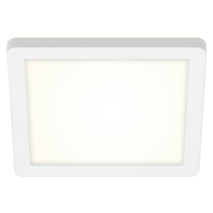 Briloner Plafón LED para exterior Frankfurt (8 W, L x An x Al: 190 x 190 x 28 mm, Blanco, IP44) | BAUHAUS