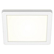Briloner Plafón LED para exterior Frankfurt (8 W, L x An x Al: 190 x 190 x 28 mm, Blanco, IP44) | BAUHAUS