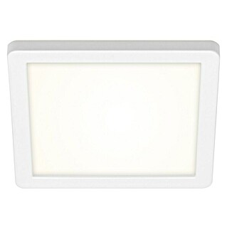 Briloner Plafón LED para exterior Frankfurt (8 W, L x An x Al: 190 x 190 x 28 mm, Blanco, IP44)