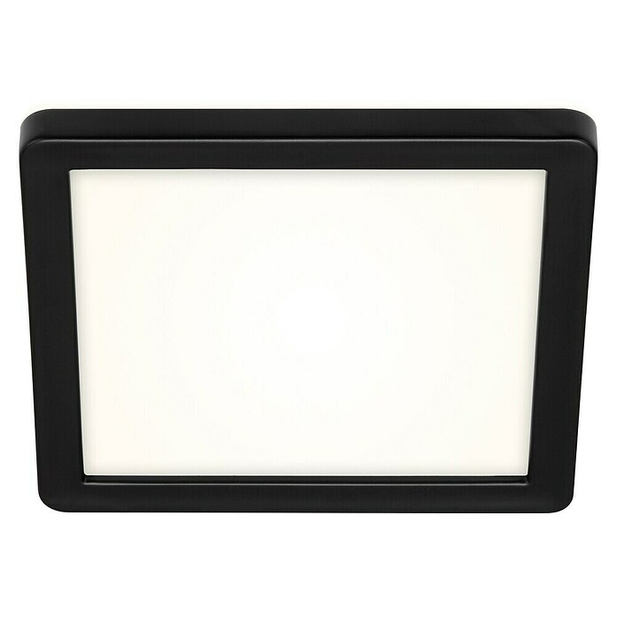 Briloner Plafón LED para exterior Frankfurt (8 W, L x An x Al: 190 x 190 x 28 mm, Negro, IP44) | BAUHAUS