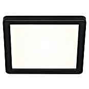 Briloner Plafón LED para exterior Frankfurt (8 W, L x An x Al: 190 x 190 x 28 mm, Negro, IP44) | BAUHAUS