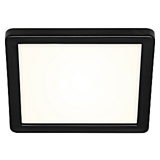 Briloner Plafón LED para exterior Frankfurt (8 W, L x An x Al: 190 x 190 x 28 mm, Negro, IP44)