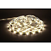 Tween Light Tiras de LED (5 x 2 m, Blanco cálido)