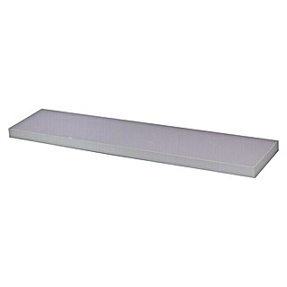 Storemax Wandschap zwevende plank (4,5 x 25 x 120 cm, Zilver, Belastbaarheid: 25 kg)