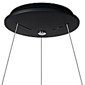 Lucide Pendelleuchte rund Talowe Led (39 W, Ø x H: 60 x 142 cm, Schwarz) | BAUHAUS