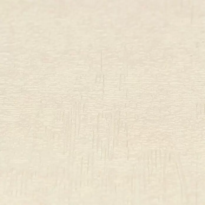 Rasch Vliestapete - Beige, Uni, 10,05 x 0,53 m, Schimmernd - Detailaufnahme