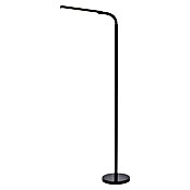 Lucide LED-Stehleuchte Gilly (5 W, Höhe: 153 cm, Schwarz, Warmweiß) | BAUHAUS