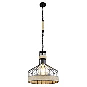 Globo Visilica Halia  (60 W, Crna, E27, Promjer: 35 cm) | BAUHAUS