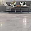 Feinsteinzeugfliese Bayona Silver (60 x 60 cm, Grau, Glänzend) | BAUHAUS