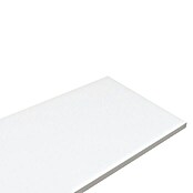 Regalboden (Weiß, L x B: 80 x 20 cm, Stärke: 1,6 cm)