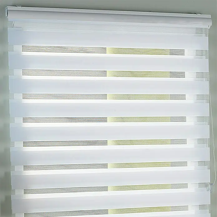 Estor noche y día Martina - An x Al: 135 x 250 cm, Blanco - Elegante cubierta de ventana enrollable doble blanca. Las modernas persianas enrollables dobles ofrecen privacidad y control de la luz.