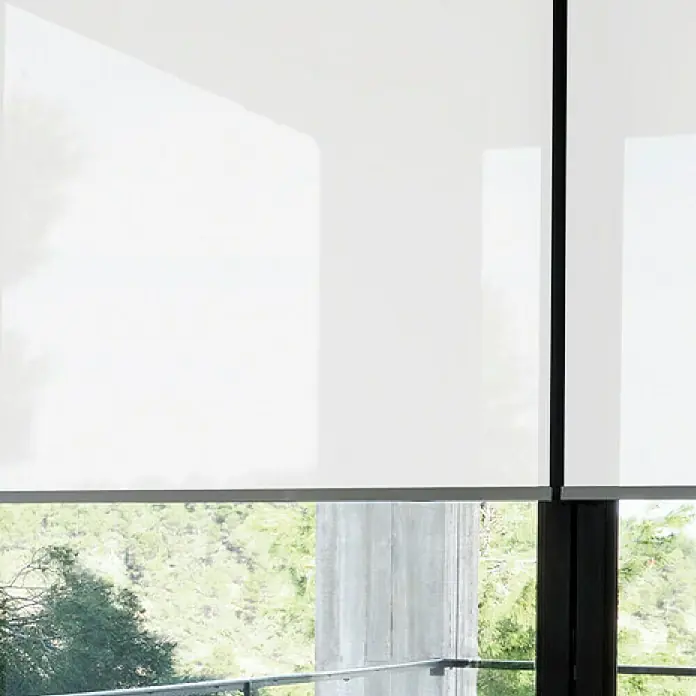 Estor enrollable screen 1% - An x Al: 165 x 250 cm, Blanco - Persianas enrollables blancas que oscurecen una ventana, ofreciendo privacidad con un aspecto moderno y minimalista. La elegancia complementa el interior.