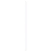 Muurplint Wit (260 cm x 42 mm x 8 mm, Hout) | BAUHAUS