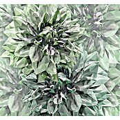 Komar Ink Fototapete Emerald Flowers (6 -tlg., B x H: 300 x 280 cm, Vlies) | BAUHAUS