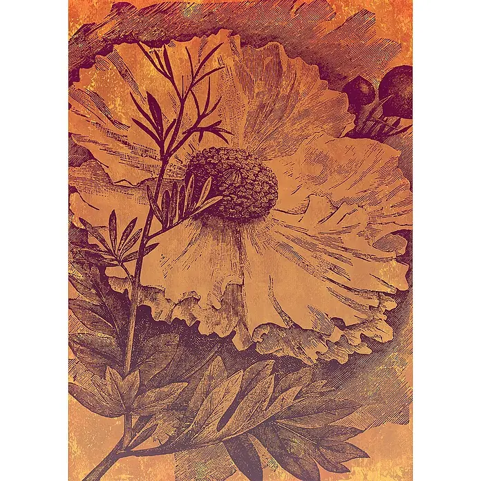 Komar Ink Fototapete Harvest - 4 -tlg., B x H: 200 x 280 cm, Vlies - Illustration einer Vintage-Blume mit detaillierten Blättern und Blütenblättern, die einen nostalgischen Charme versprüht.