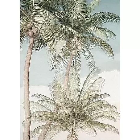 Komar Raw Fototapete Palm Oasis