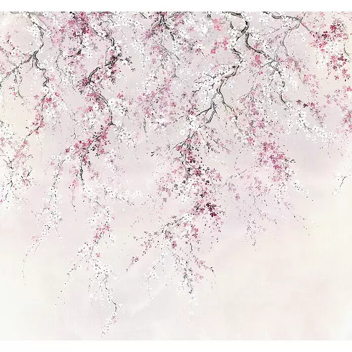 Komar Ink Fototapete Kirschblüten