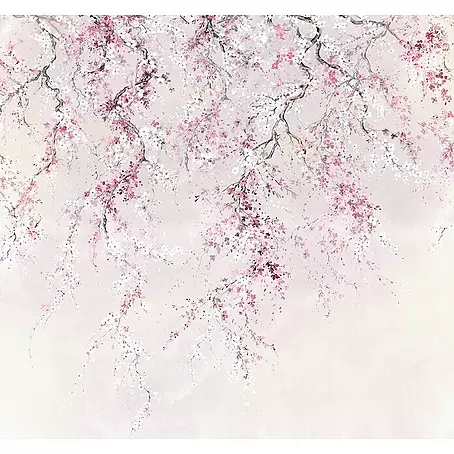 Komar Ink Fototapete Kirschblüten
