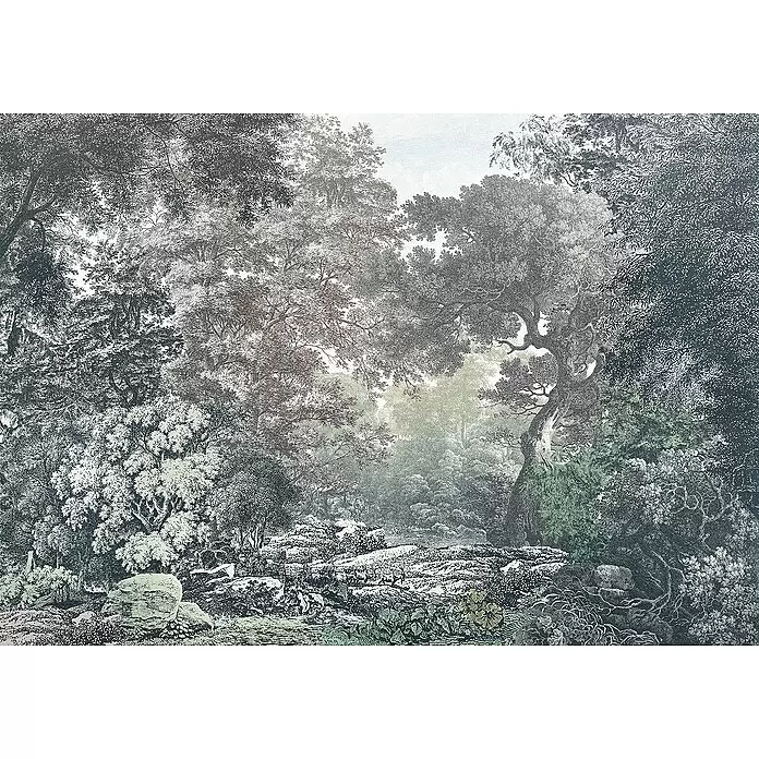 Komar Raw Fototapete Fairytale Forest - 4 -tlg., B x H: 400 x 280 cm, Vlies - Detaillierte gravierte Waldlandschaftsillustration mit Bäumen, Felsen und subtilen Grün- und Brauntönen.
