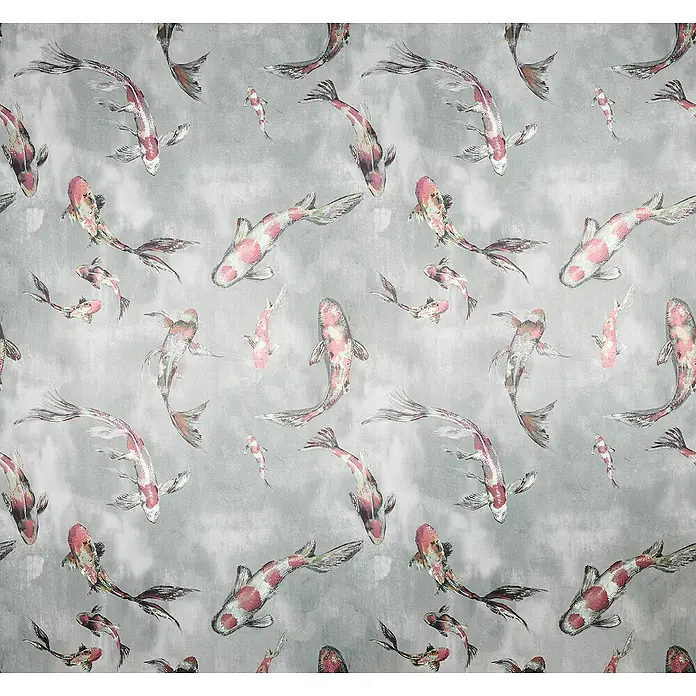 Komar Raw Fototapete Koi - 6 -tlg., B x H: 300 x 280 cm, Vlies - Muster aus Koi-Karpfen auf grauem Hintergrund. Die Koi-Karpfen scheinen auf einer Wasseroberfläche zu schwimmen.