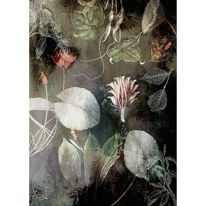 Komar Ink Fototapete Night Flowers4 -tlg., B x H: 200 x 280 cm, Vlies - Elegante botanische Kunst mit filigranen Blättern und Blüten auf dunklem Grund. Ein Hauch von natürlicher Schönheit für Ihr Zuhause.