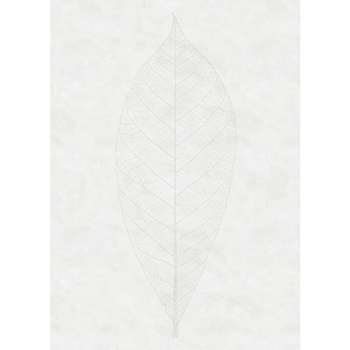 Komar Raw Fototapete Decent Leaf (2 -tlg., B x H: 200 x 280 cm, Vlies) | BAUHAUS