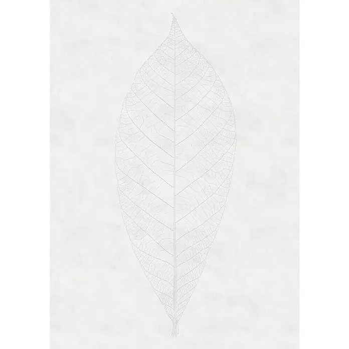 Komar Raw Fototapete Decent Leaf2 -tlg., B x H: 200 x 280 cm, Vlies - Zartes, transparentes Blattmotiv auf weißem Hintergrund. Filigrane Blattstruktur als minimalistische Wanddekoration für ein elegantes Ambiente.