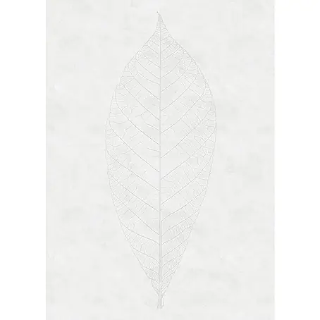Komar Raw Fototapete Decent Leaf