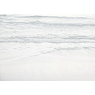 Komar Raw Fototapete Silver Beach (4 -tlg., B x H: 400 x 280 cm, Vlies)