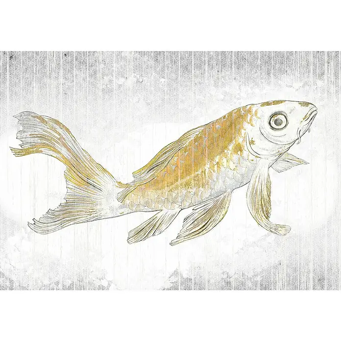 Komar Raw Fototapete Golden Koi8 -tlg., B x H: 400 x 280 cm, Vlies - Elegante Darstellung eines goldenen Fisches, dessen schimmernde Schuppen und filigrane Flossen sofort ins Auge fallen.\n