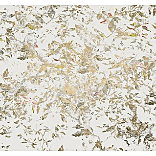 Komar Raw Fototapete Golden Feathers (6 -tlg., B x H: 300 x 280 cm, Vlies)