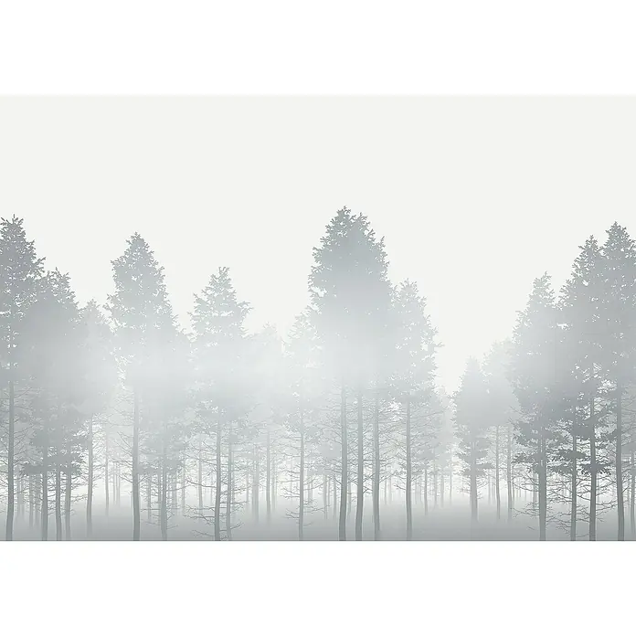 Komar Raw Fototapete Silver Haze - 8 -tlg., B x H: 400 x 280 cm, Vlies - Ein düsterer Wald mit hohen Bäumen verschwindet im dichten Nebel, eine ruhige, monochrome Landschaft.