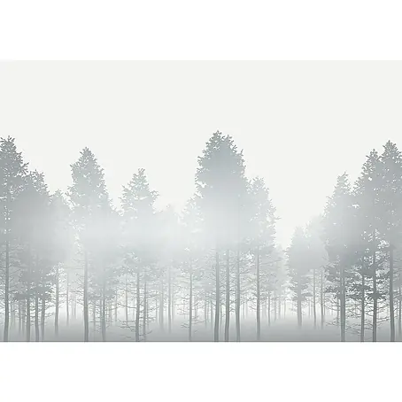 Komar Raw Fototapete Silver Haze