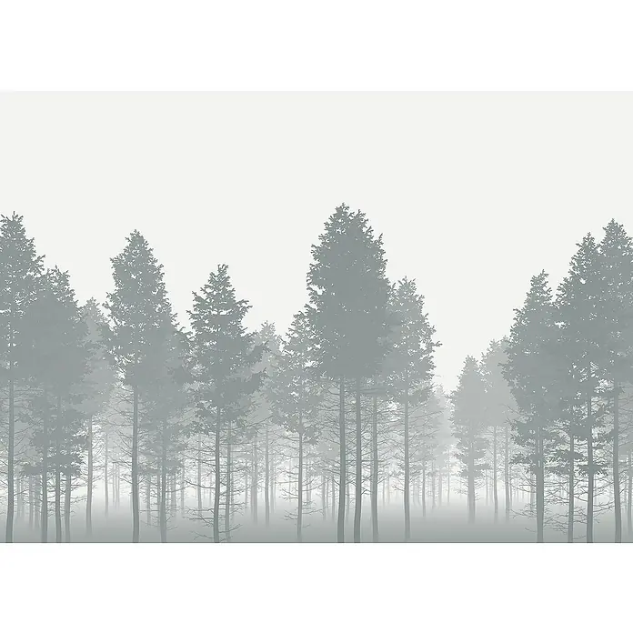 Komar Home Fototapete Nebula - 7 -tlg., B x H: 350 x 250 cm, Vlies - Nebelverhangener Wald: Eine stille und geheimnisvolle Szene mit hohen Bäumen, die im sanften Nebel verschwinden. Ideal als Wandbild.