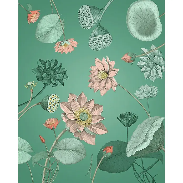 Komar Home Fototapete Blissful - 4 -tlg., B x H: 200 x 250 cm, Vlies - Elegante Lotusblüten-Tapete in sanften Farben, die eine ruhige und stilvolle Atmosphäre in jedem Raum schafft.